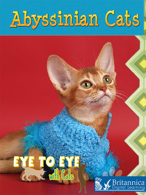 cover image of Abyssinian Cats